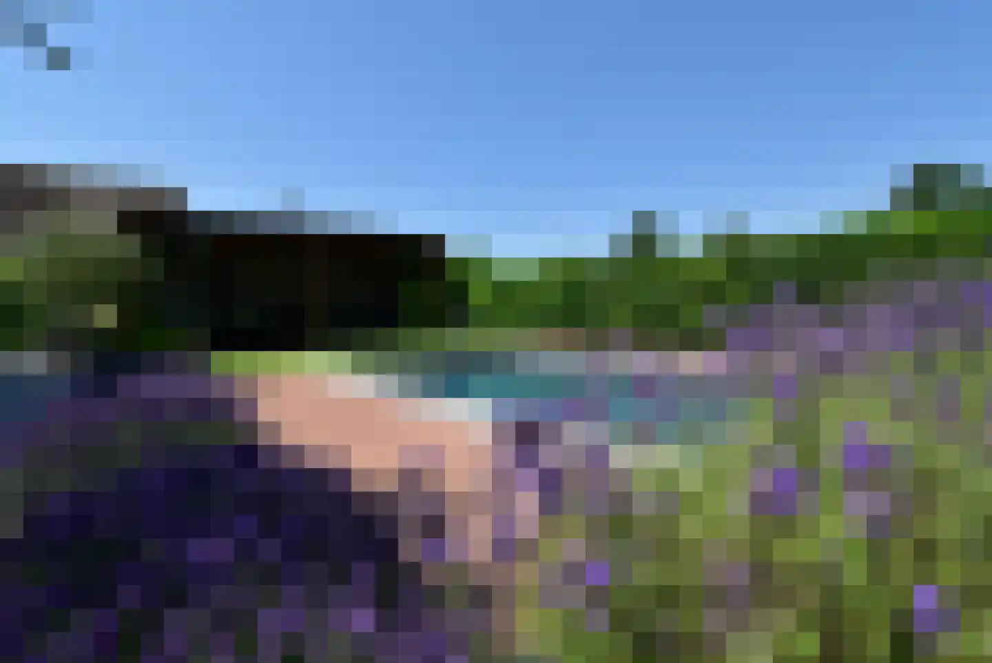 Kievit 12 668 Baarle-Nassau thumbnail 29