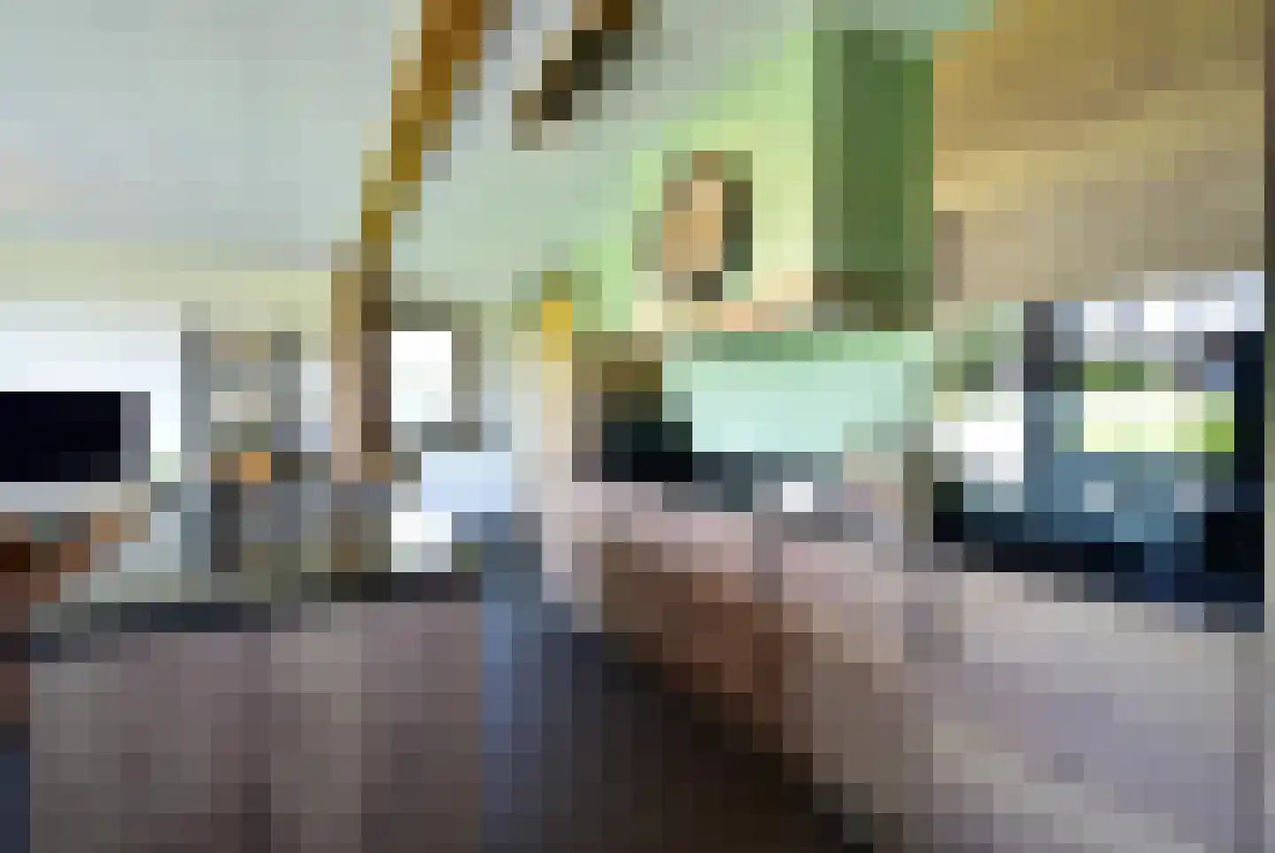 Kievit 12 668 Baarle-Nassau thumbnail 8