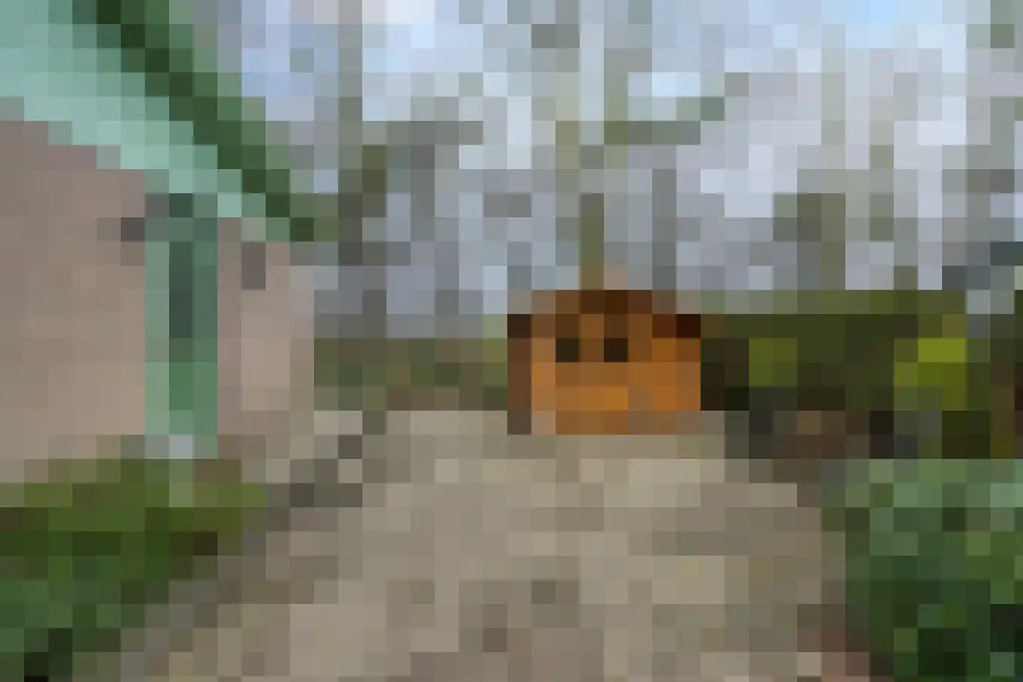 Kievit 12 b 020 Baarle-Nassau thumbnail 20