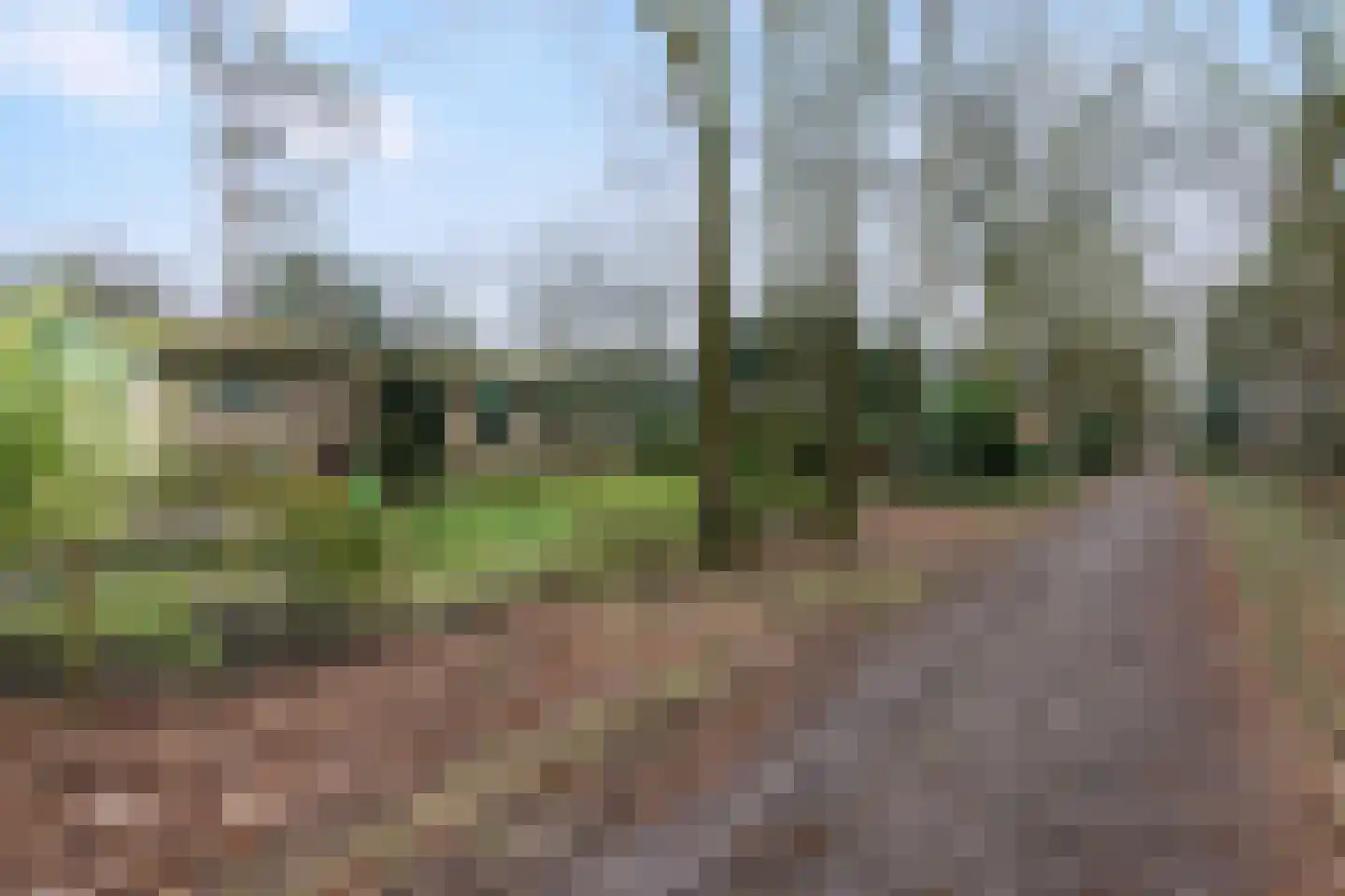 Kievit 12 b 020 Baarle-Nassau thumbnail 23