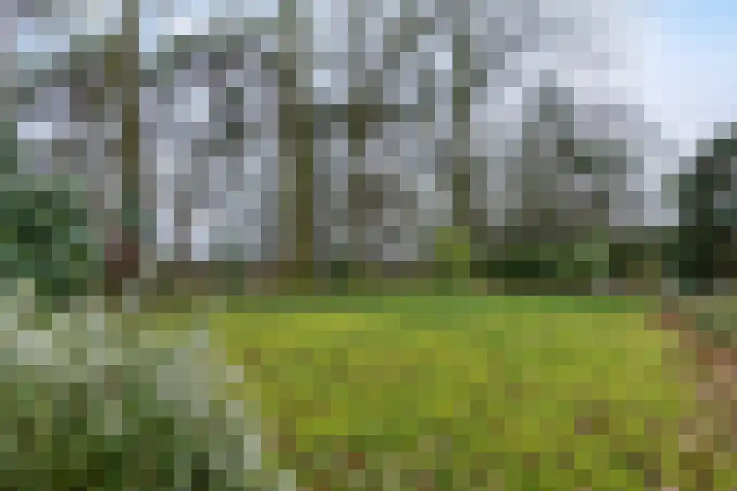 Kievit 12 b 020 Baarle-Nassau thumbnail 25
