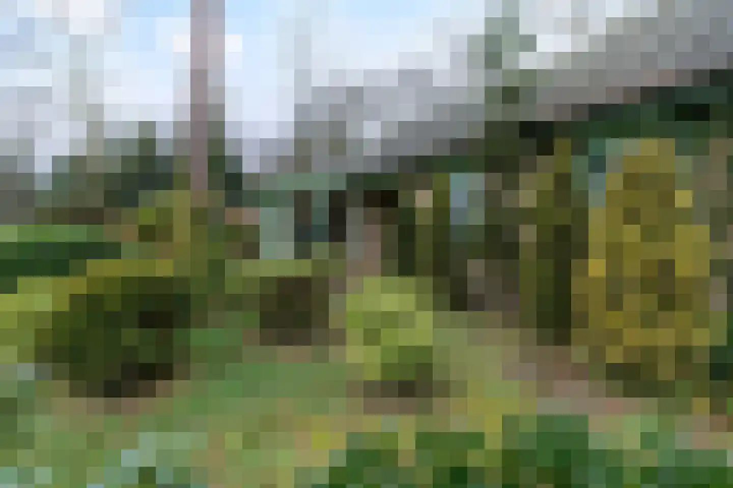 Kievit 12 b 020 Baarle-Nassau thumbnail 26
