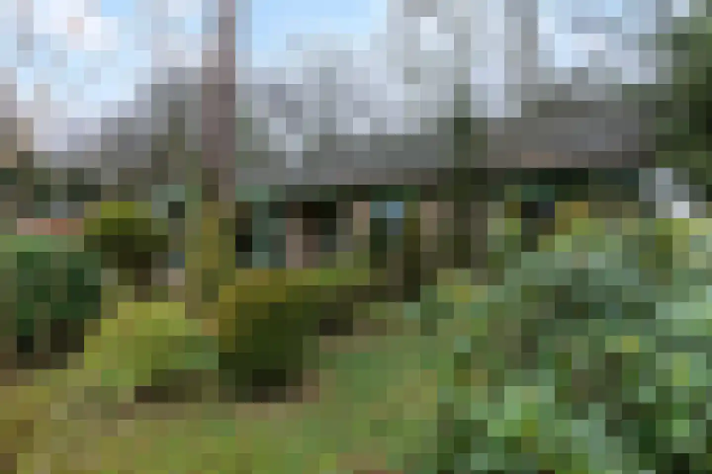 Kievit 12 b 020 Baarle-Nassau thumbnail 27