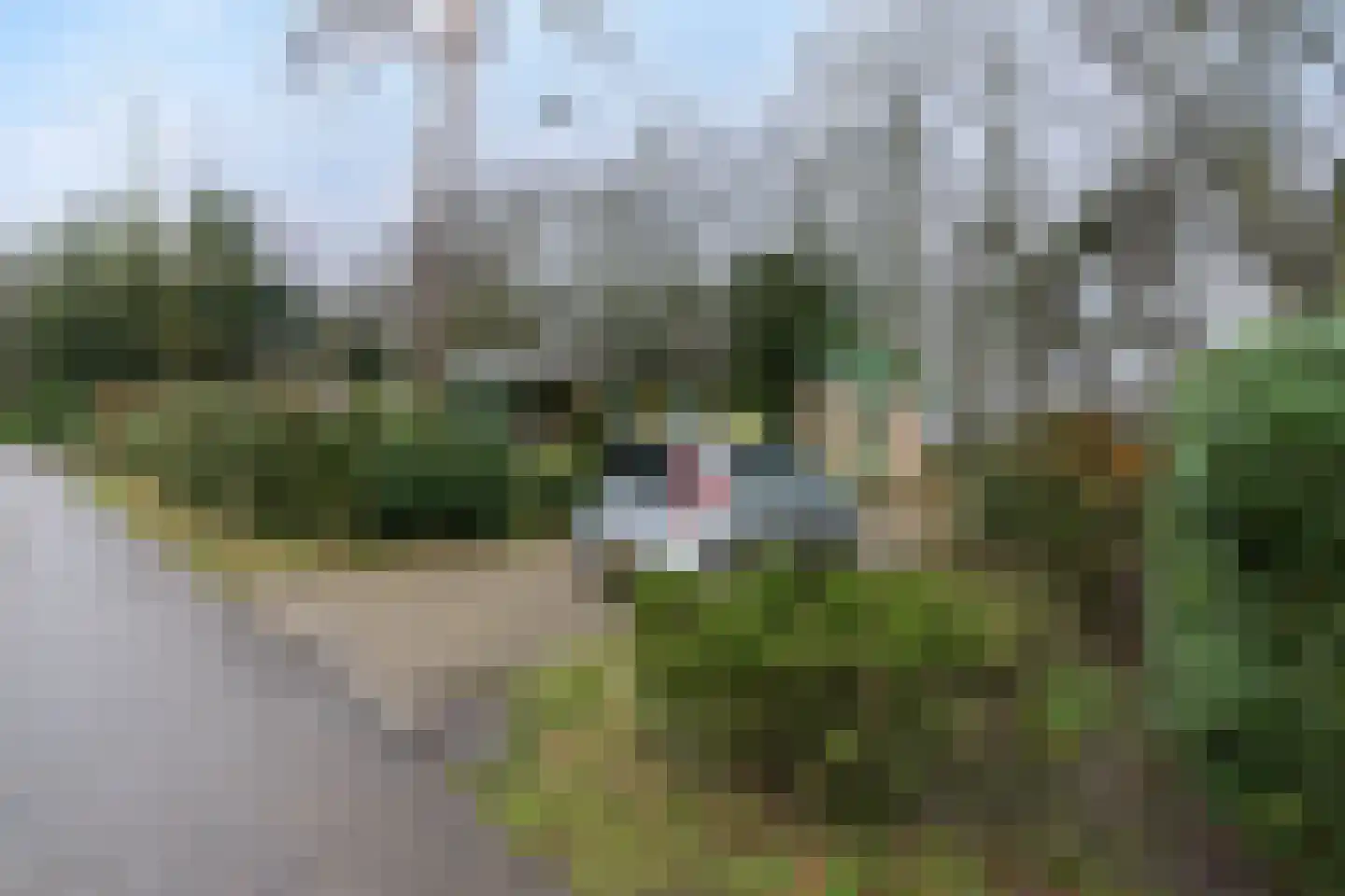 Kievit 12 b 020 Baarle-Nassau thumbnail 28