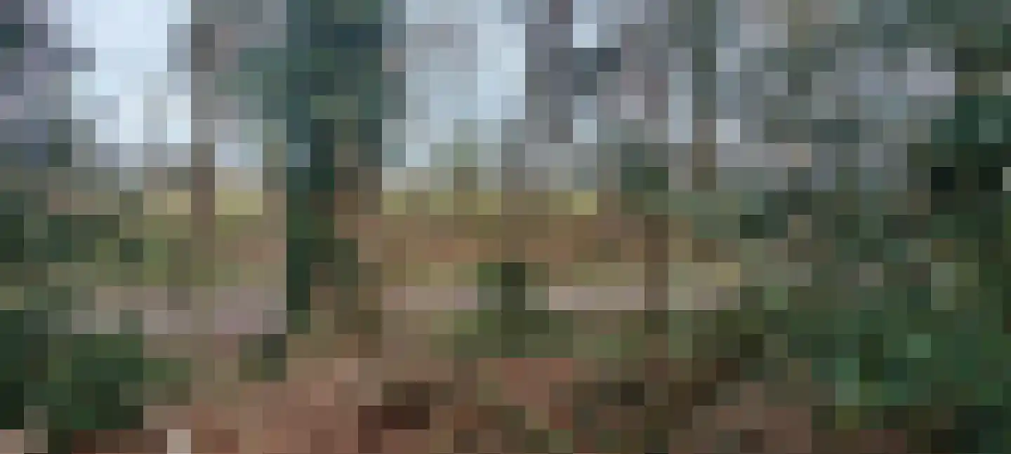 Kievit 12 b 030 Baarle-Nassau thumbnail 4