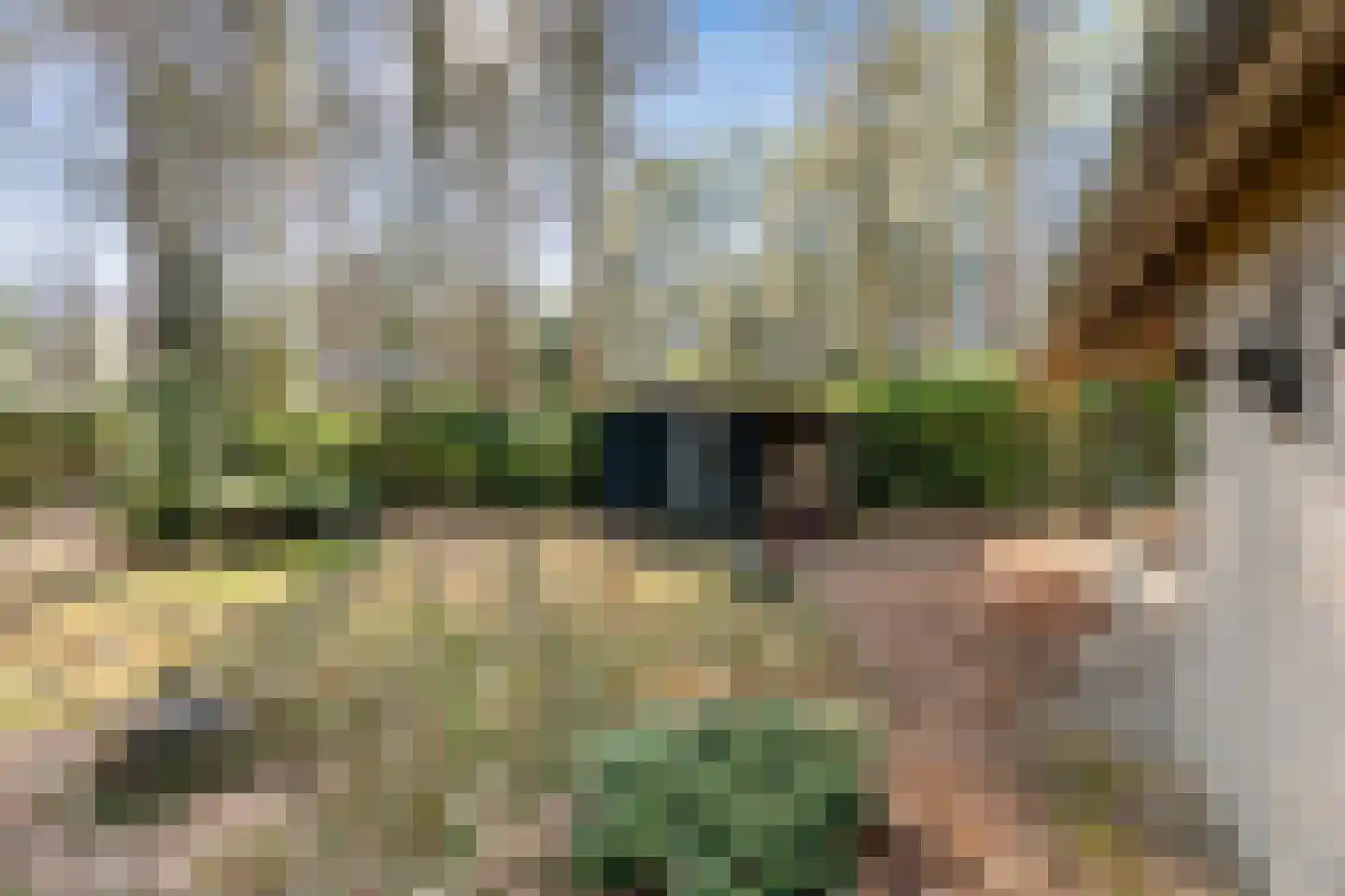 Kievit 12 b 081 Baarle-Nassau thumbnail 11