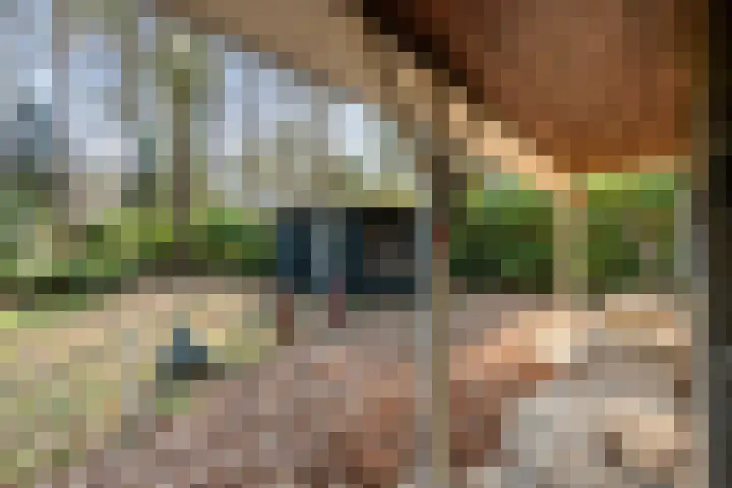 Kievit 12 b 081 Baarle-Nassau thumbnail 14