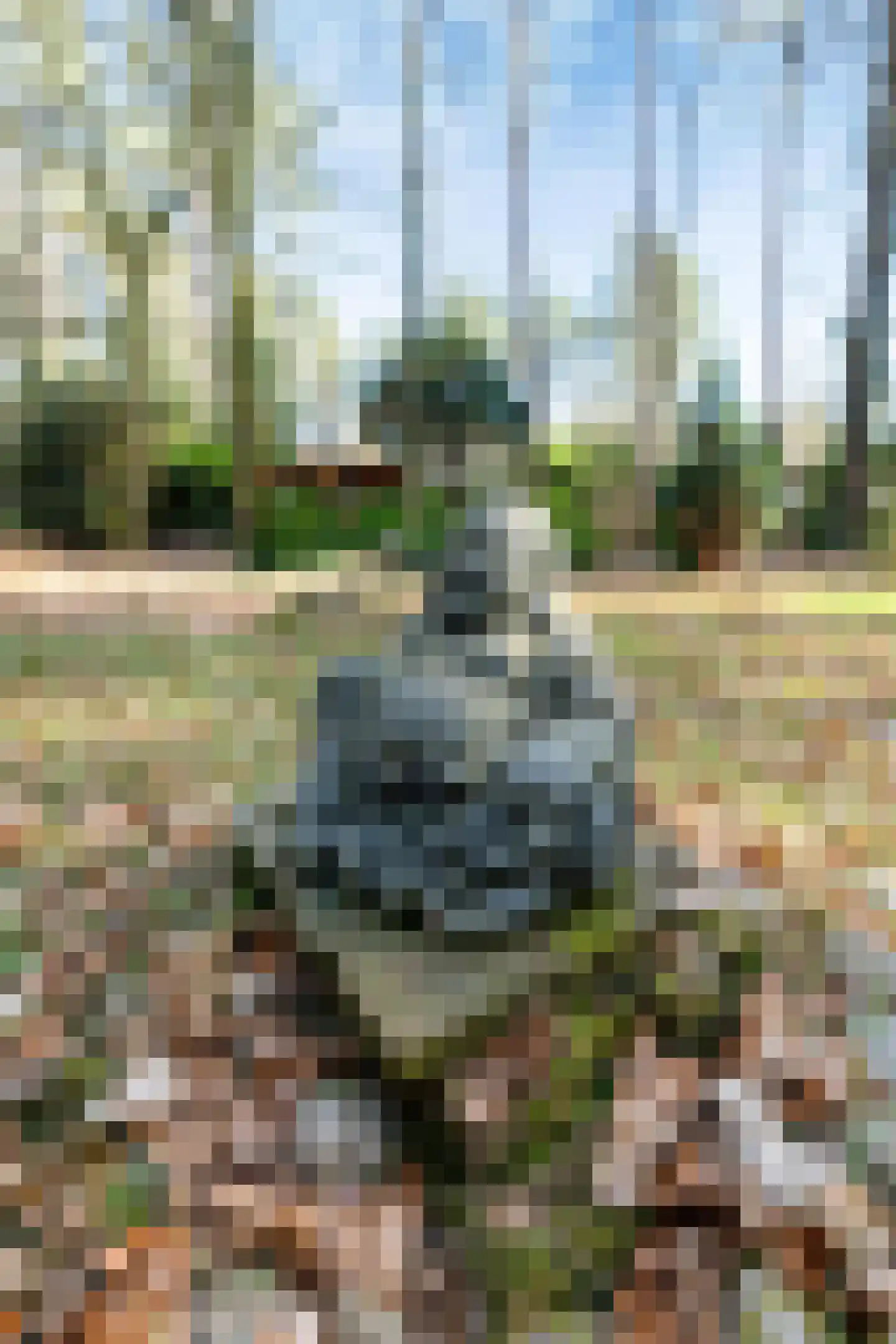Kievit 12 b 081 Baarle-Nassau thumbnail 16