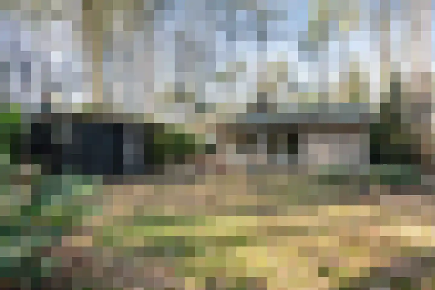 Kievit 12 b 081 Baarle-Nassau thumbnail 17
