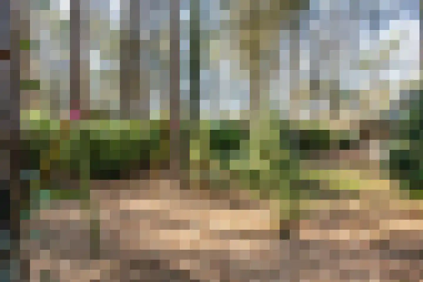 Kievit 12 b 081 Baarle-Nassau thumbnail 19