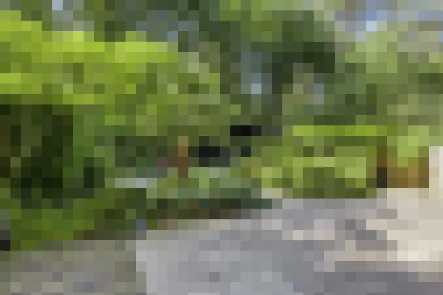 Kievit 12 b 098 Baarle-Nassau thumbnail 22