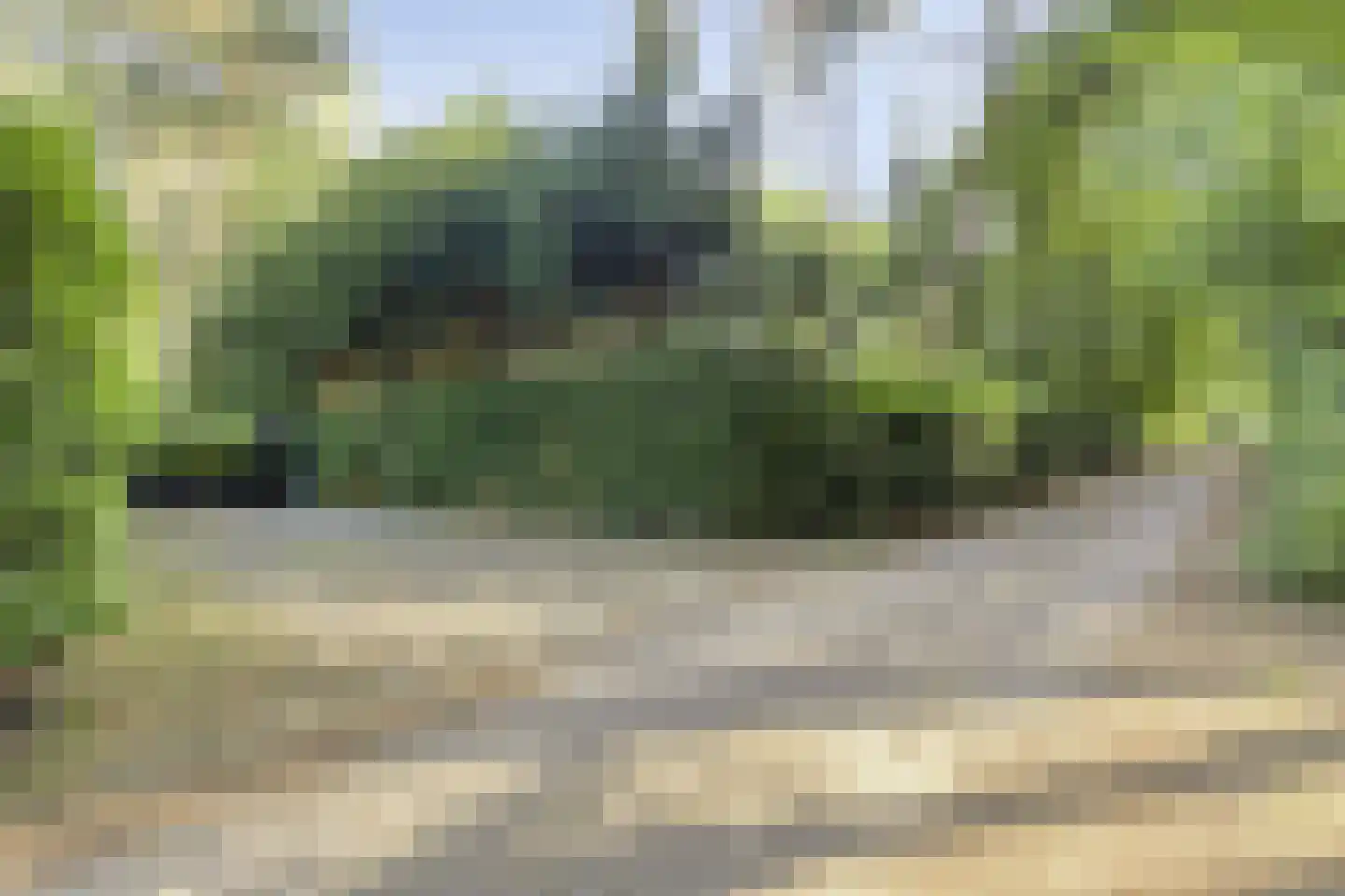 Kievit 12 b 098 Baarle-Nassau thumbnail 4