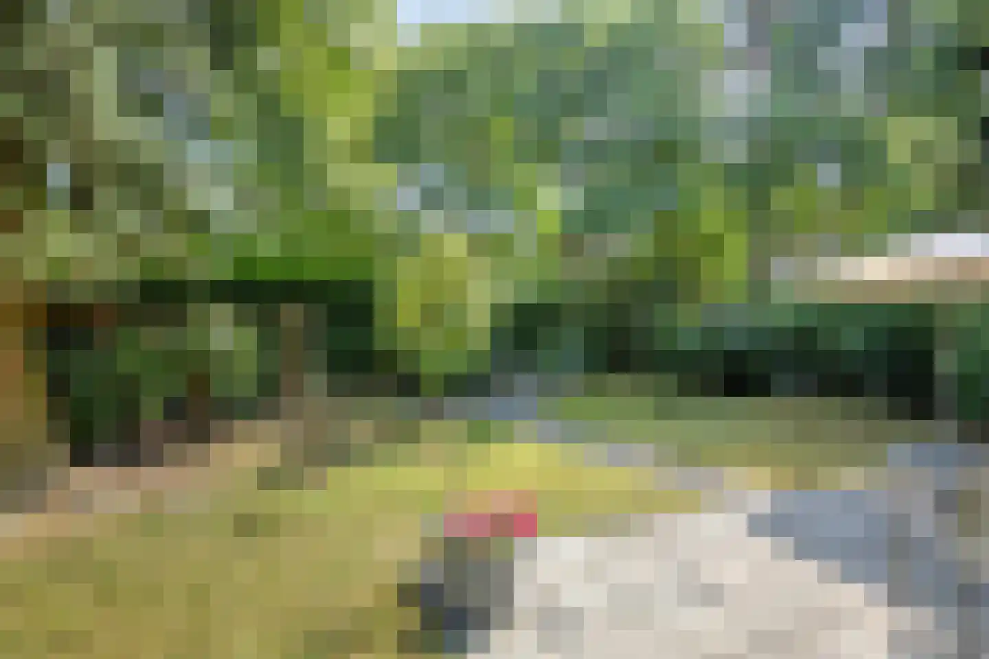 Kievit 12 b 196 Baarle-Nassau thumbnail 24