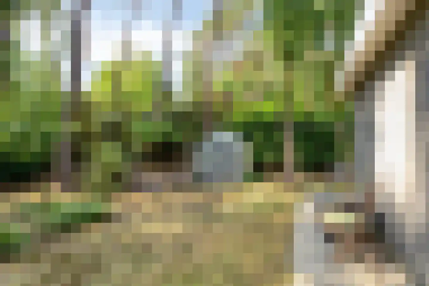 Kievit 12 b 196 Baarle-Nassau thumbnail 30