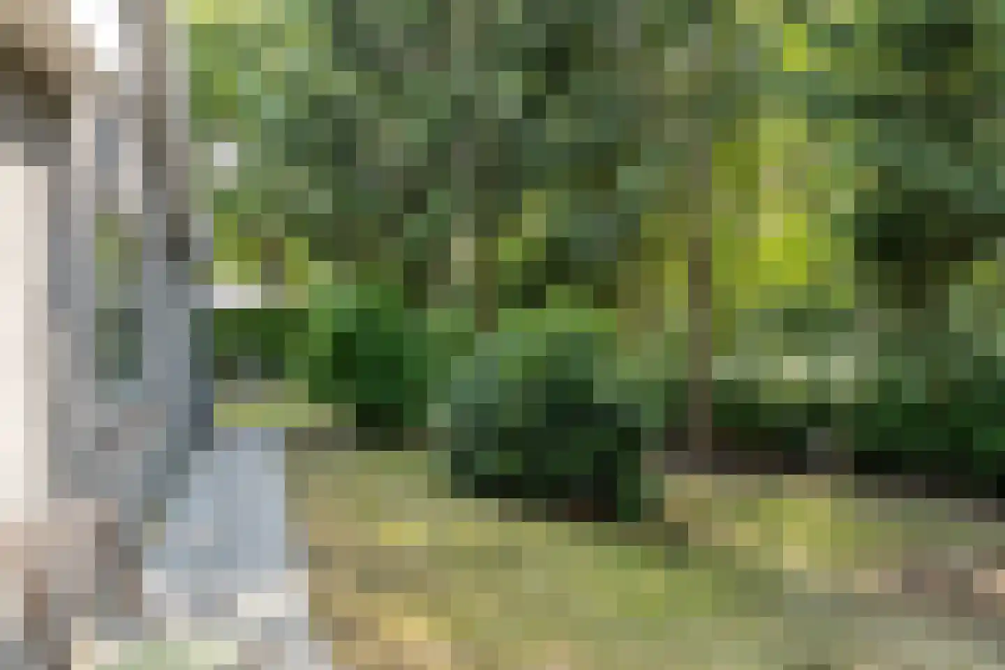 Kievit 12 b 196 Baarle-Nassau thumbnail 31