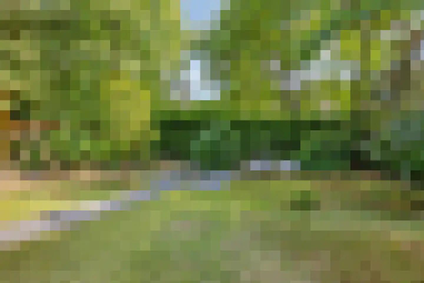 Kievit 12 b 196 Baarle-Nassau thumbnail 32