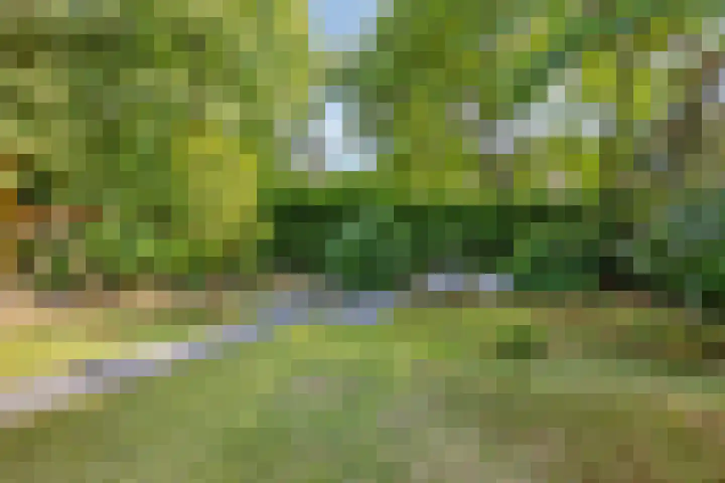 Kievit 12 b 196 Baarle-Nassau thumbnail 32