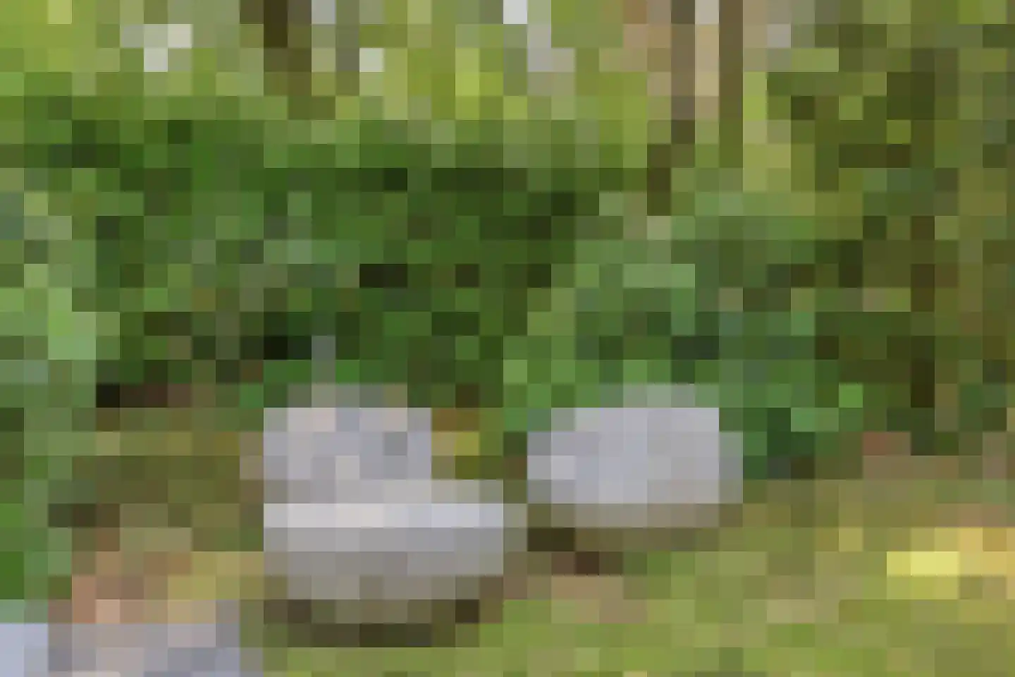 Kievit 12 b 196 Baarle-Nassau thumbnail 33
