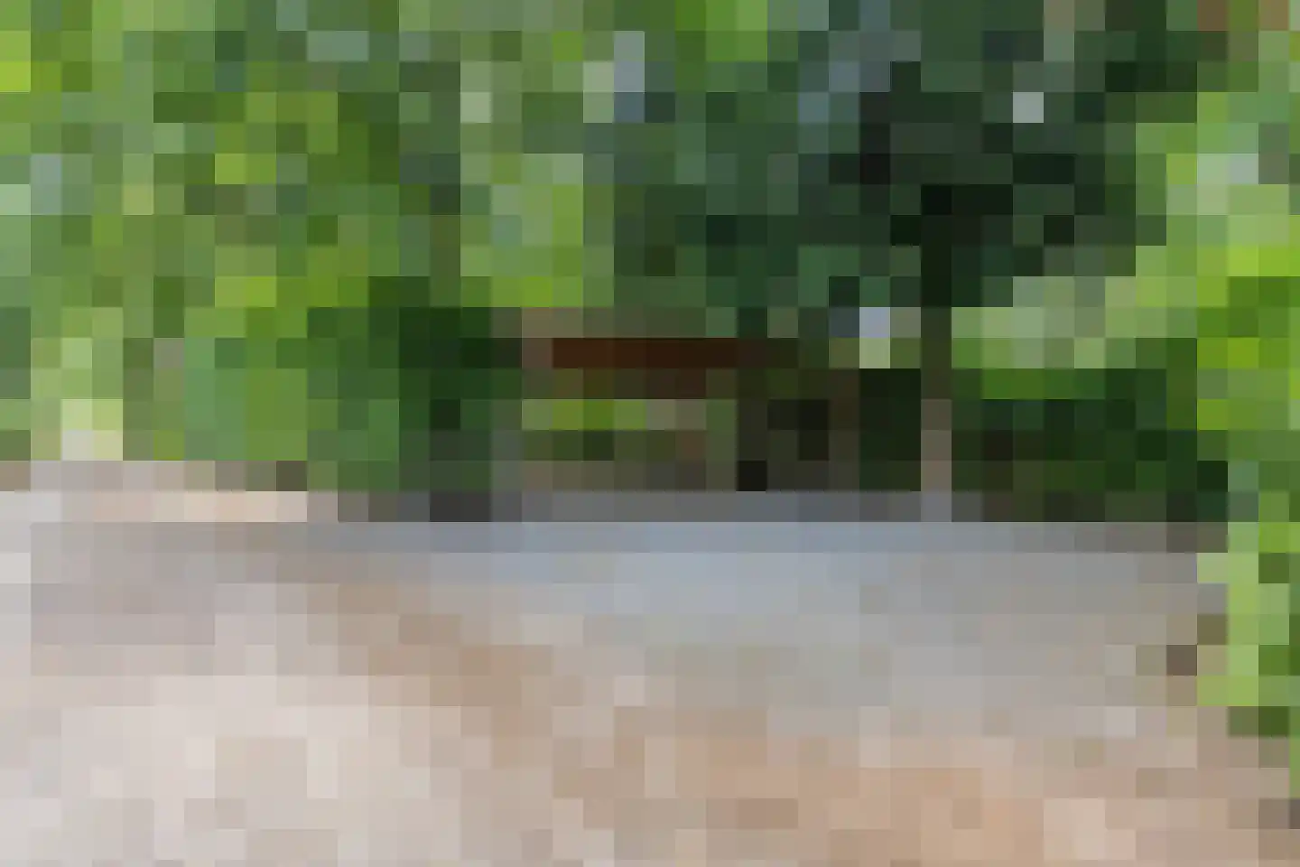 Kievit 12 b 196 Baarle-Nassau thumbnail 36