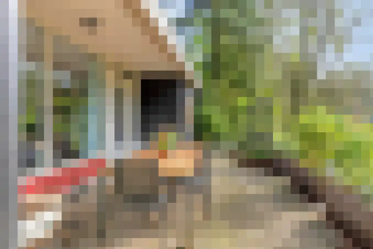 Kievit 12 b 211 Baarle-Nassau thumbnail 23