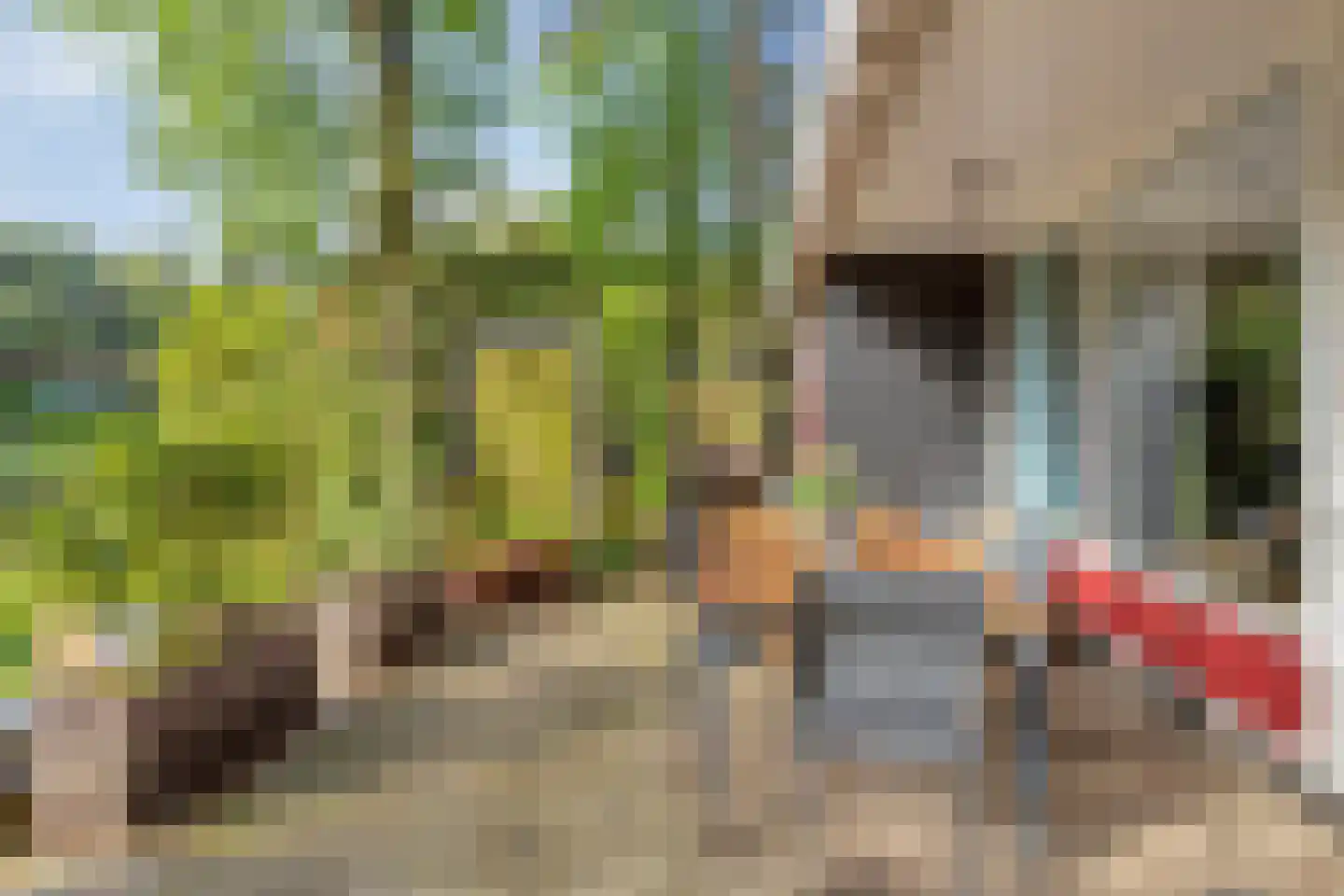 Kievit 12 b 211 Baarle-Nassau thumbnail 24