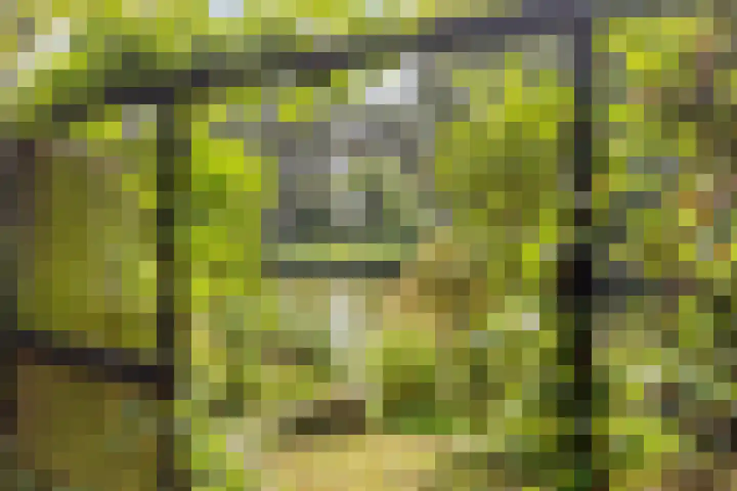 Kievit 12 b 211 Baarle-Nassau thumbnail 25