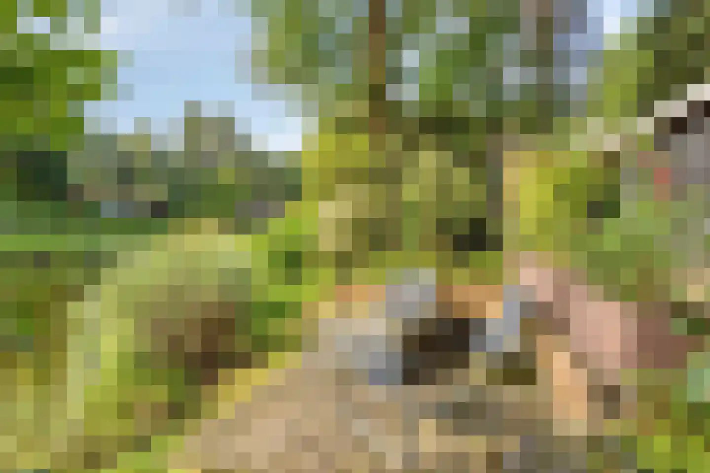 Kievit 12 b 211 Baarle-Nassau thumbnail 26