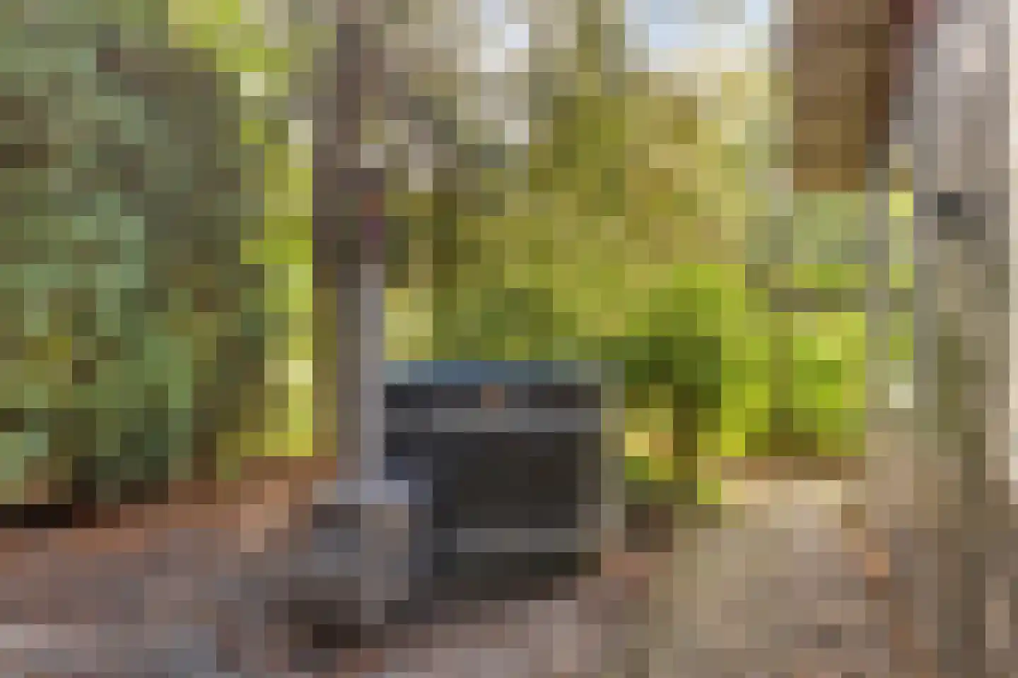 Kievit 12 b 211 Baarle-Nassau thumbnail 30