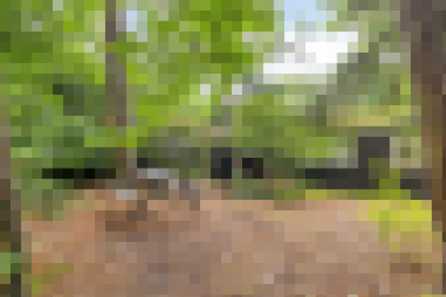 Kievit 12 b 211 Baarle-Nassau thumbnail 32