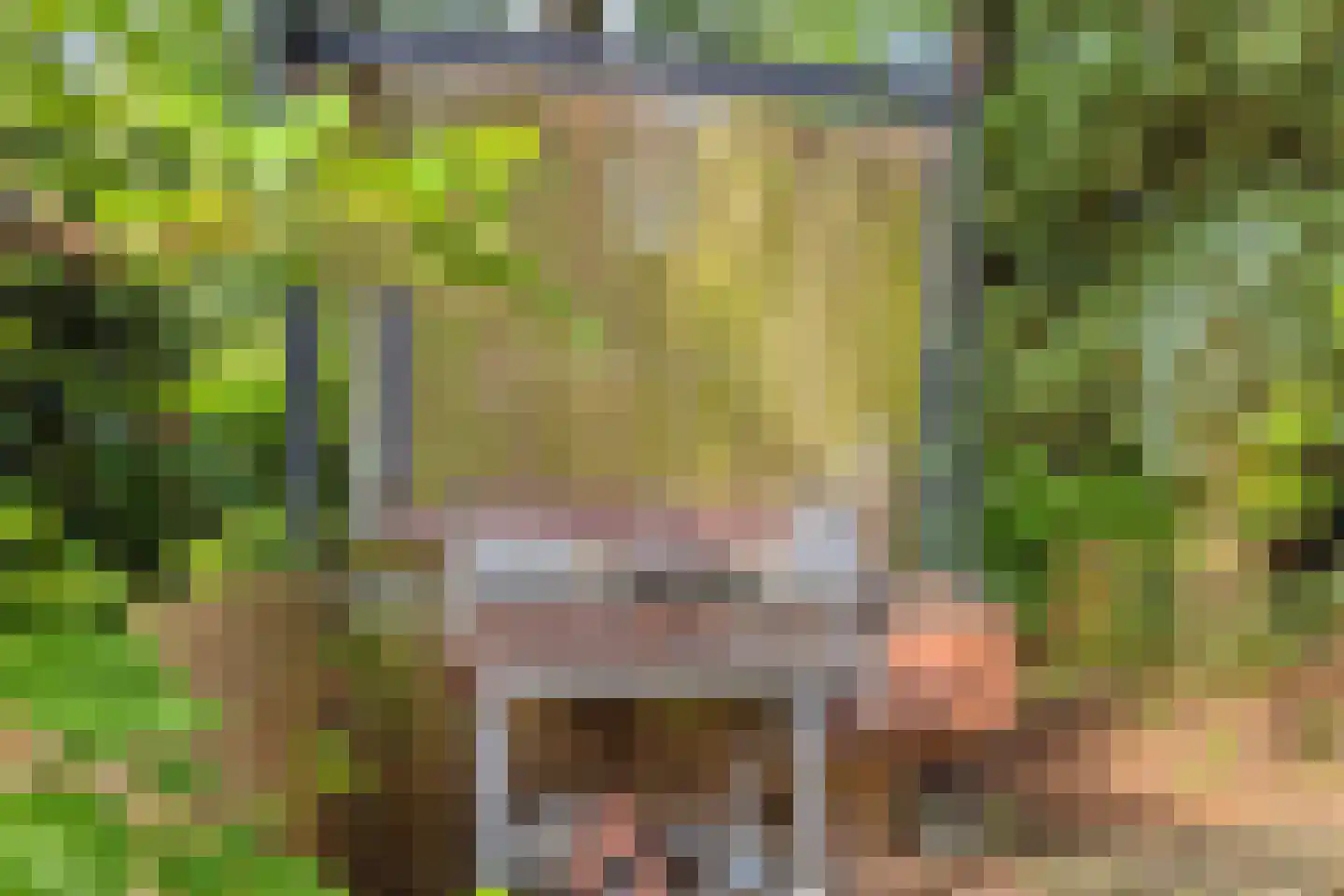 Kievit 12 b 211 Baarle-Nassau thumbnail 34