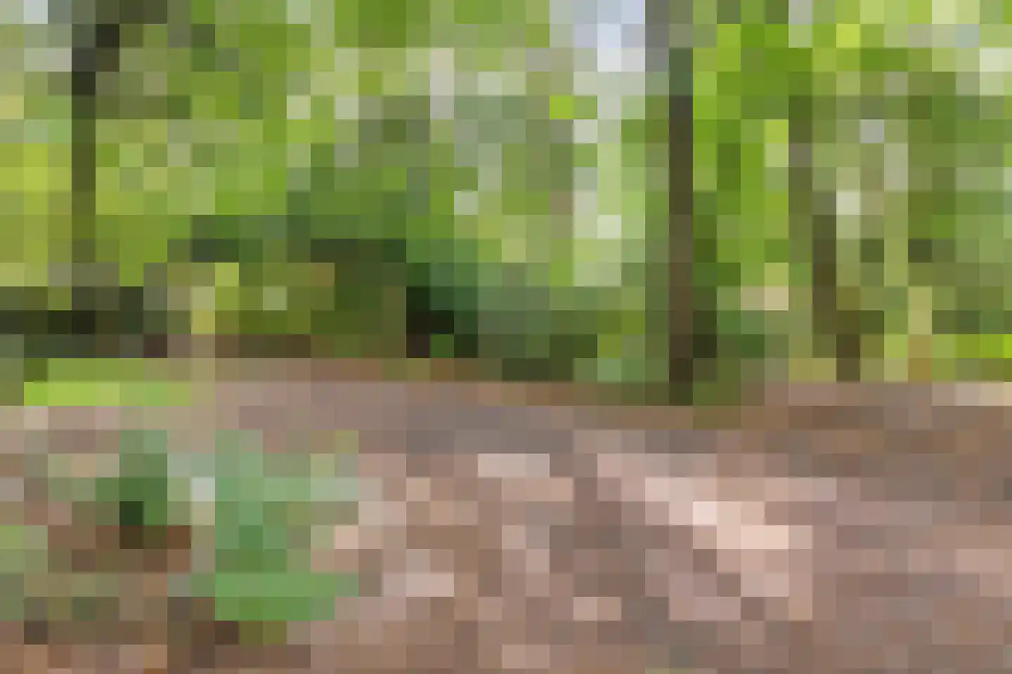 Kievit 12 b 211 Baarle-Nassau thumbnail 35