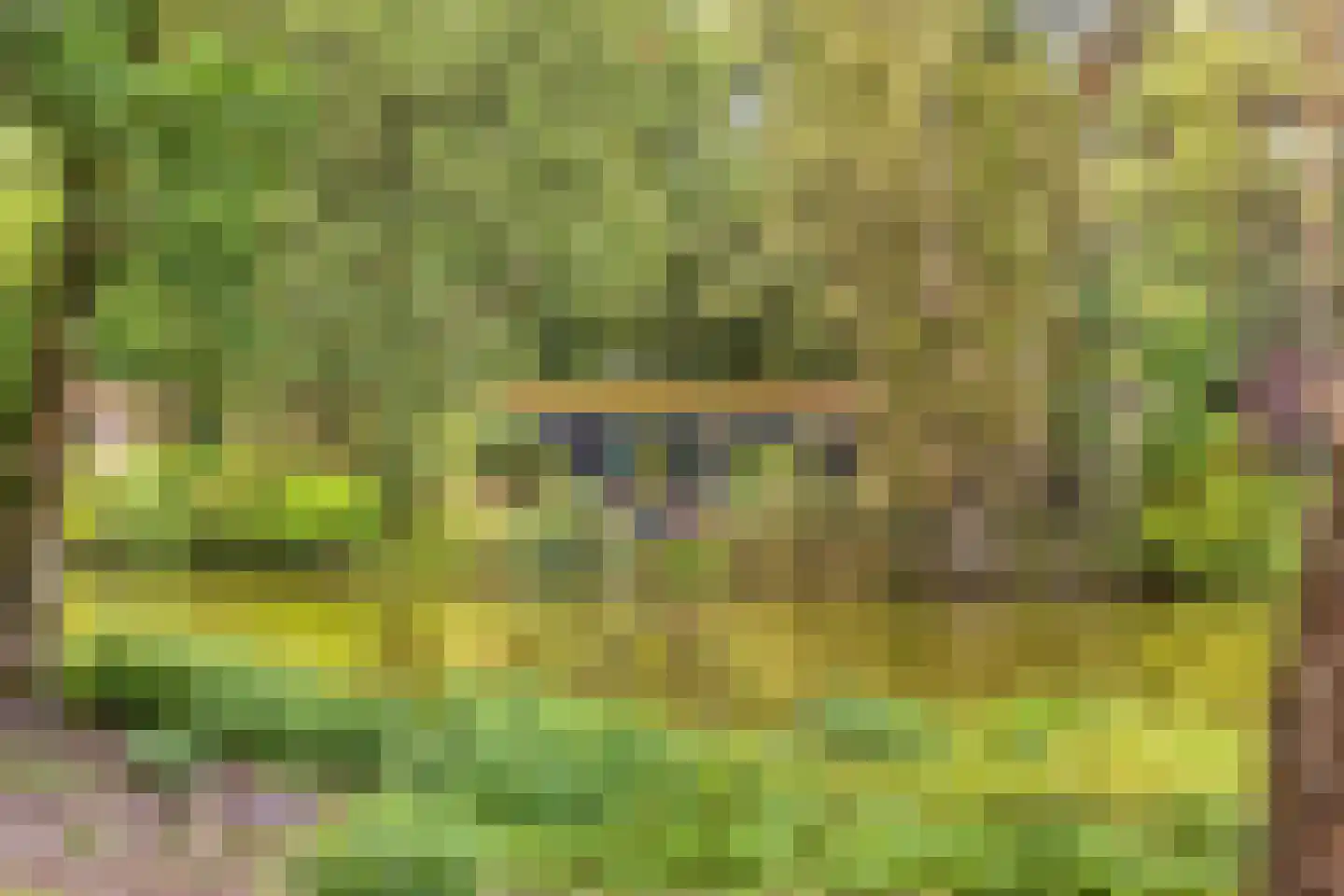 Kievit 12 b 211 Baarle-Nassau thumbnail 36