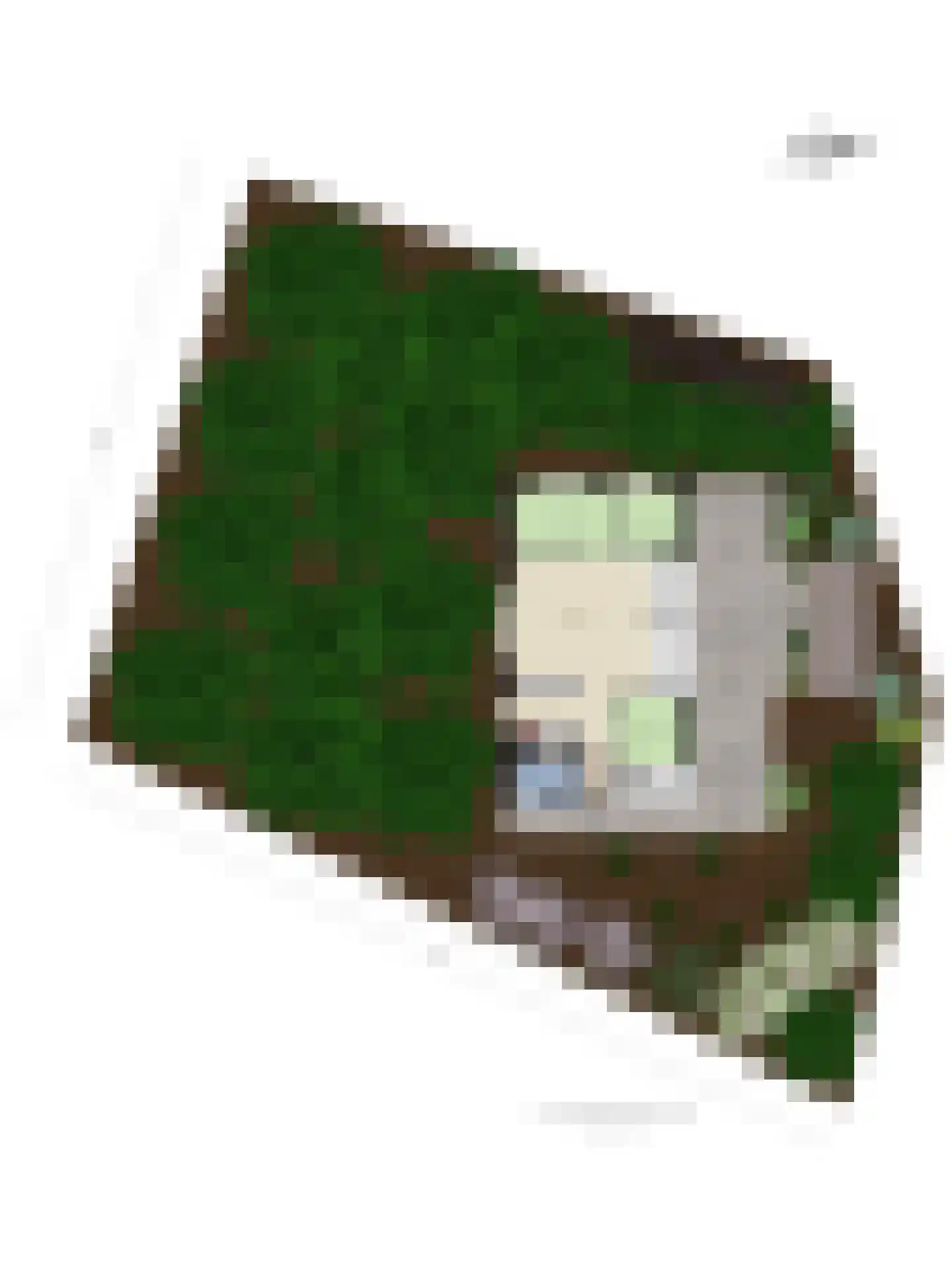 Kievit 12 b 211 Baarle-Nassau thumbnail 40