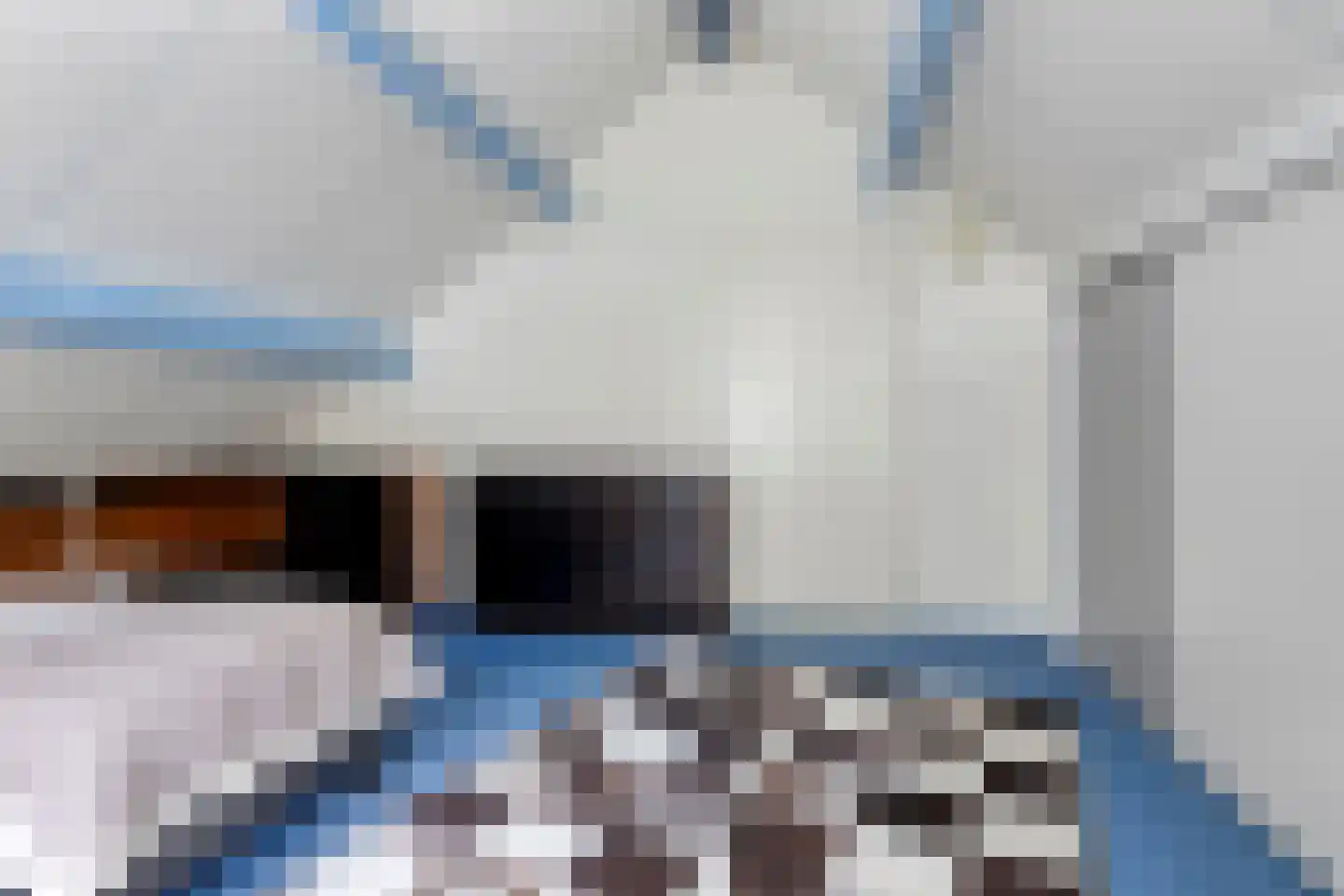 Kievit 12 b 225 Baarle-Nassau thumbnail 20