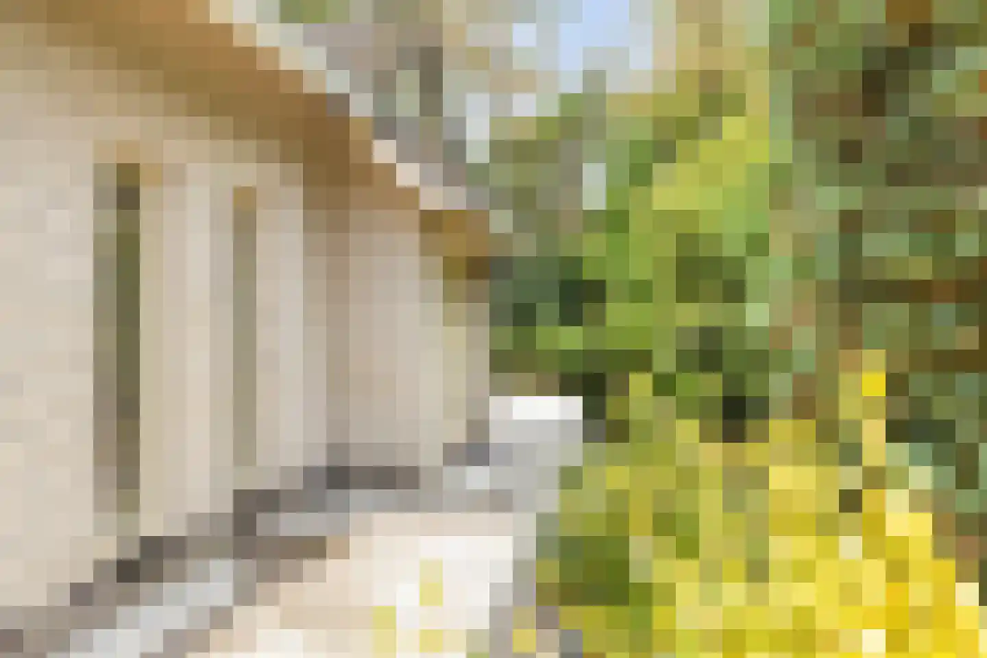 Kievit 12 b 225 Baarle-Nassau thumbnail 29