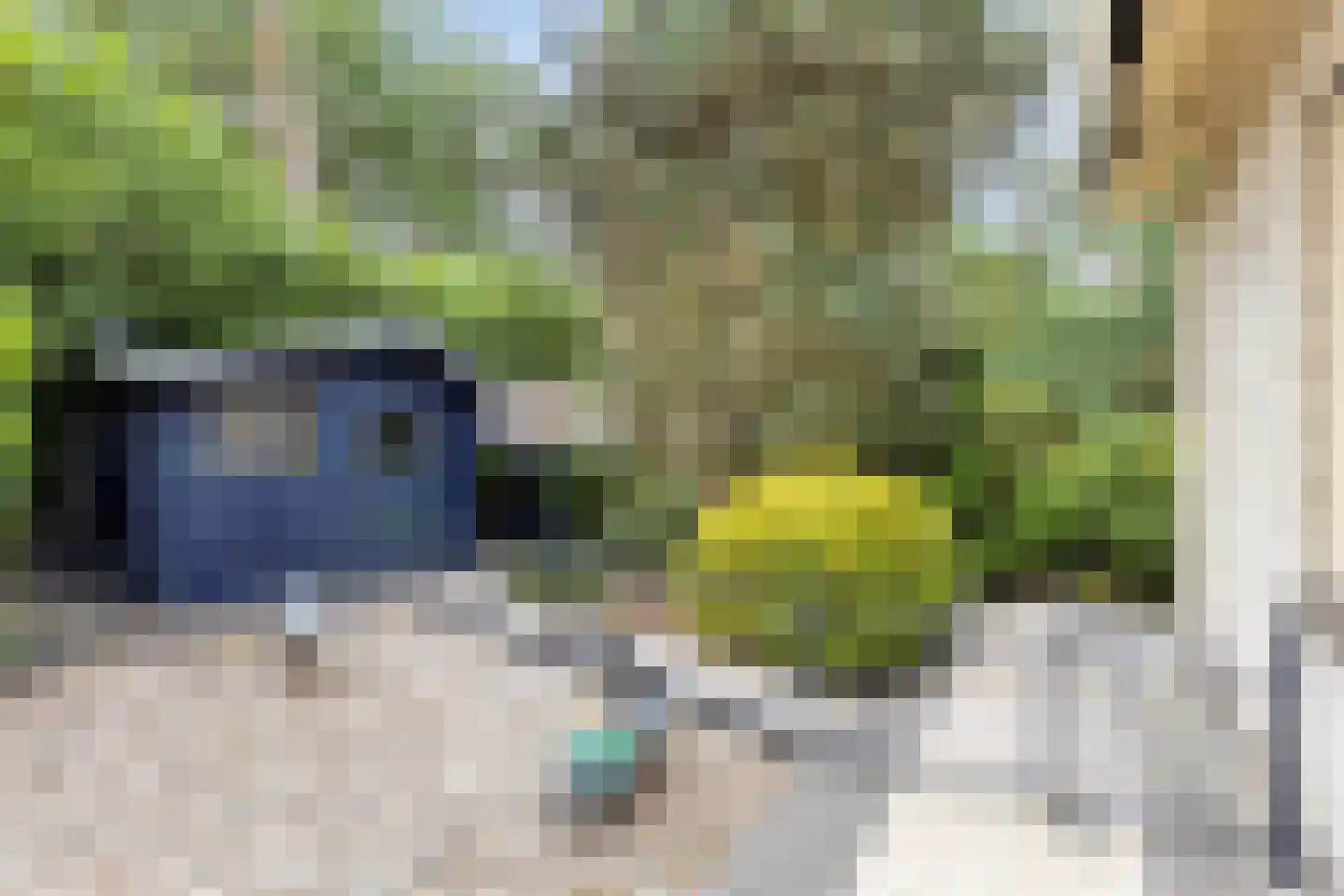 Kievit 12 b 225 Baarle-Nassau thumbnail 31