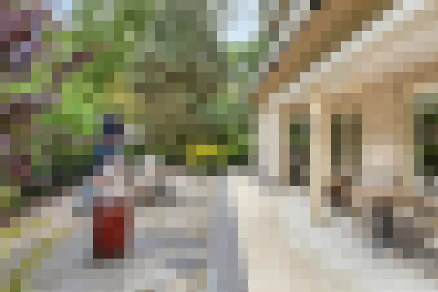 Kievit 12 b 225 Baarle-Nassau thumbnail 32