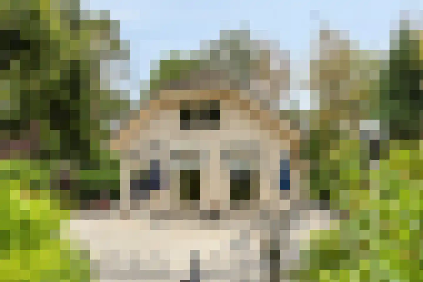 Kievit 12 b 225 Baarle-Nassau thumbnail 33