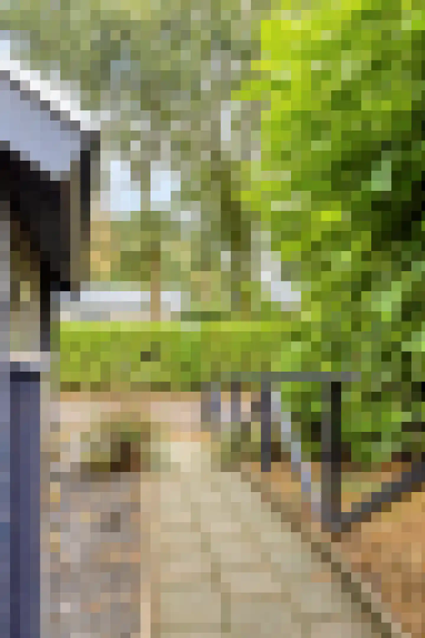 Kievit 12 b 225 Baarle-Nassau thumbnail 35