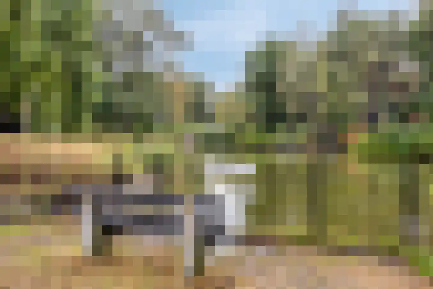 Kievit 12 b 225 Baarle-Nassau thumbnail 39