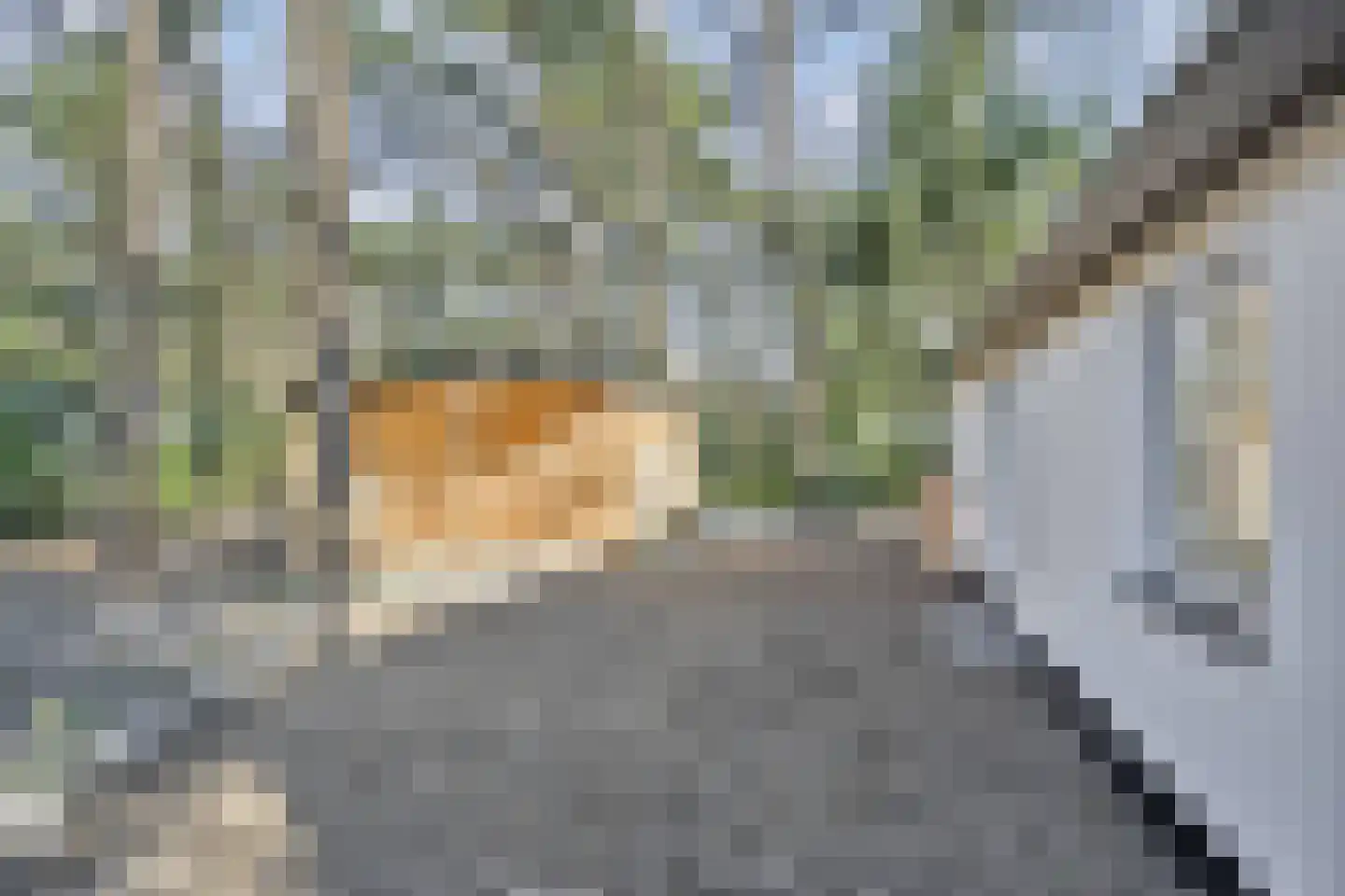 Kievit 12 b 230 Baarle-Nassau thumbnail 33