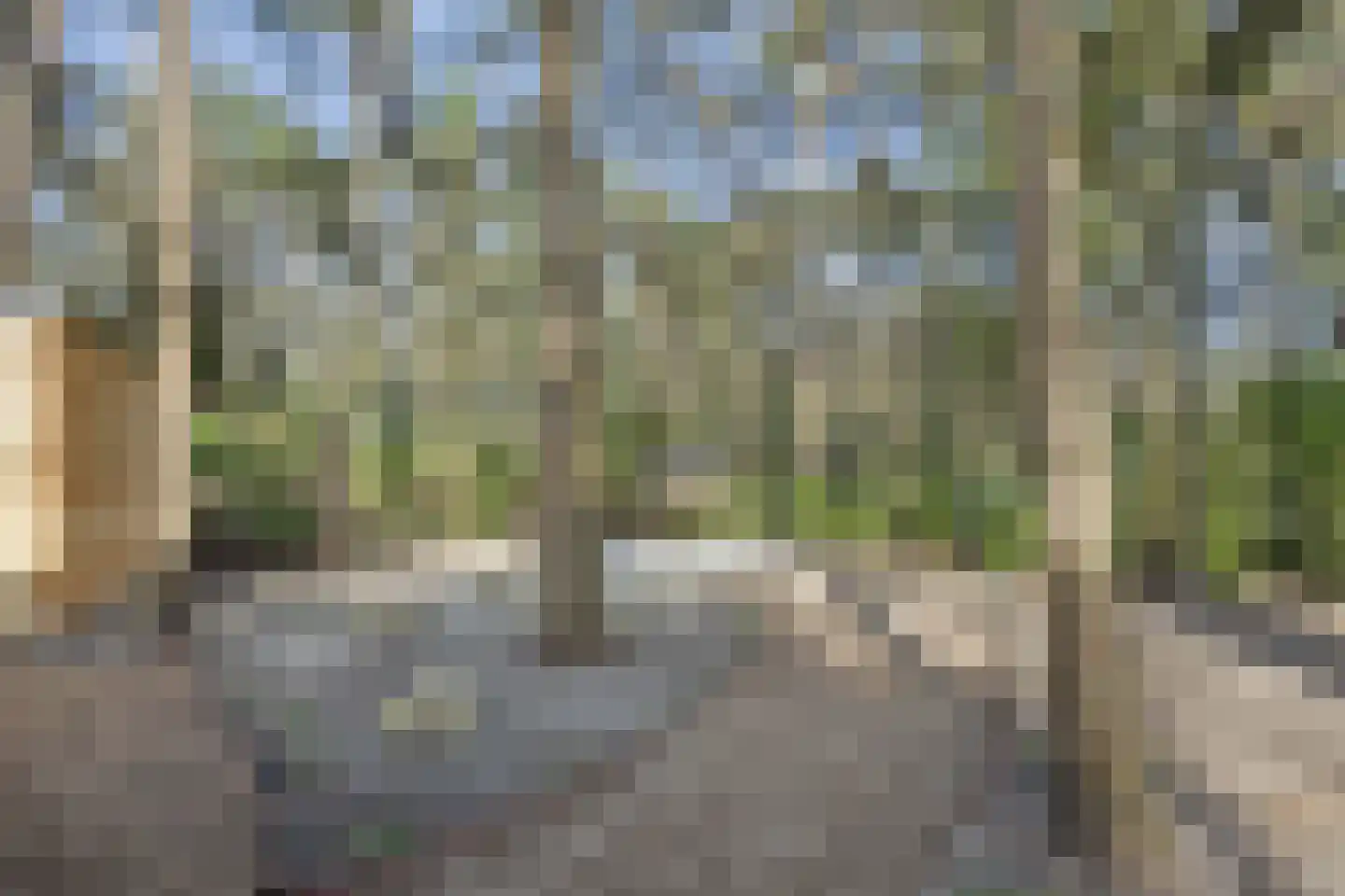 Kievit 12 b 230 Baarle-Nassau thumbnail 36