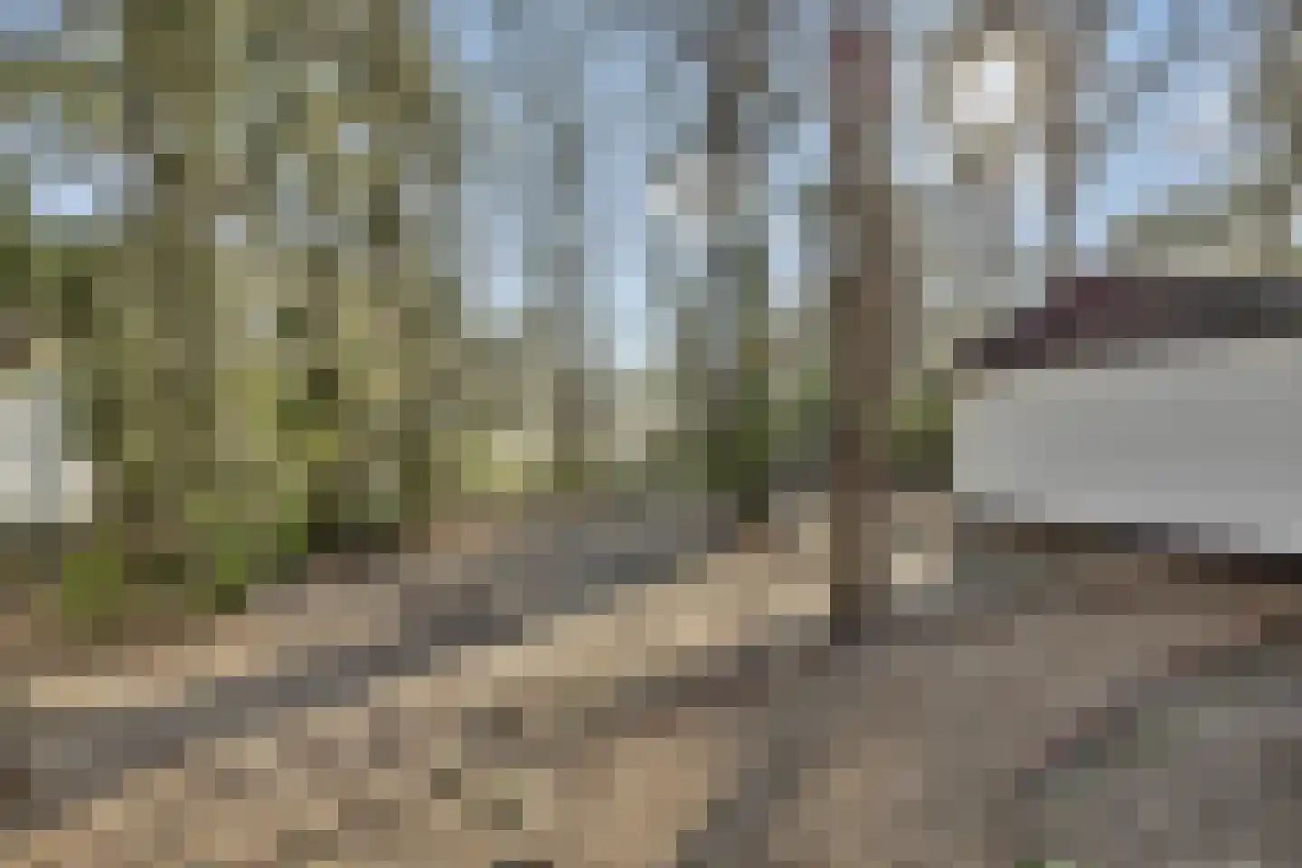 Kievit 12 b 230 Baarle-Nassau thumbnail 37