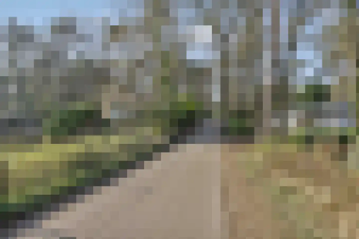Kievit 12 b 230 Baarle-Nassau thumbnail 39