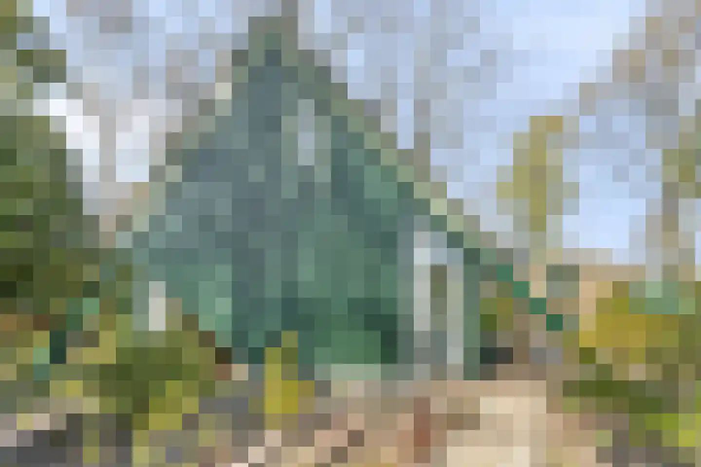 Kievit 12 b 273 Baarle-Nassau thumbnail 26