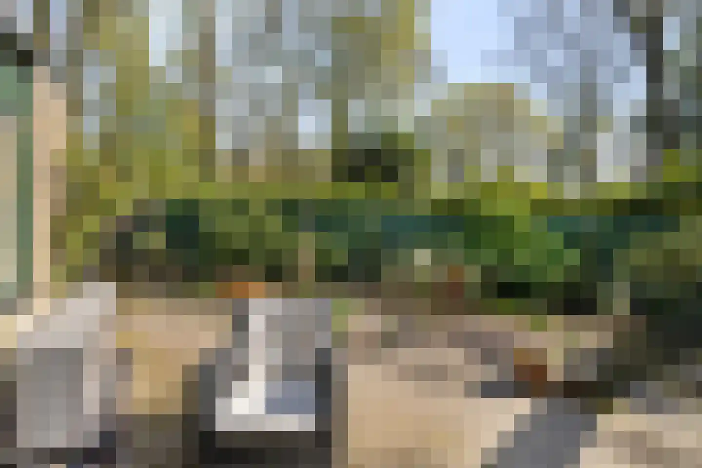 Kievit 12 b 273 Baarle-Nassau thumbnail 28