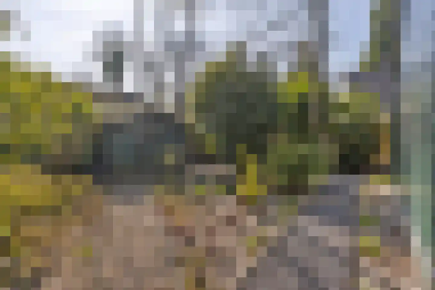 Kievit 12 b 273 Baarle-Nassau thumbnail 31