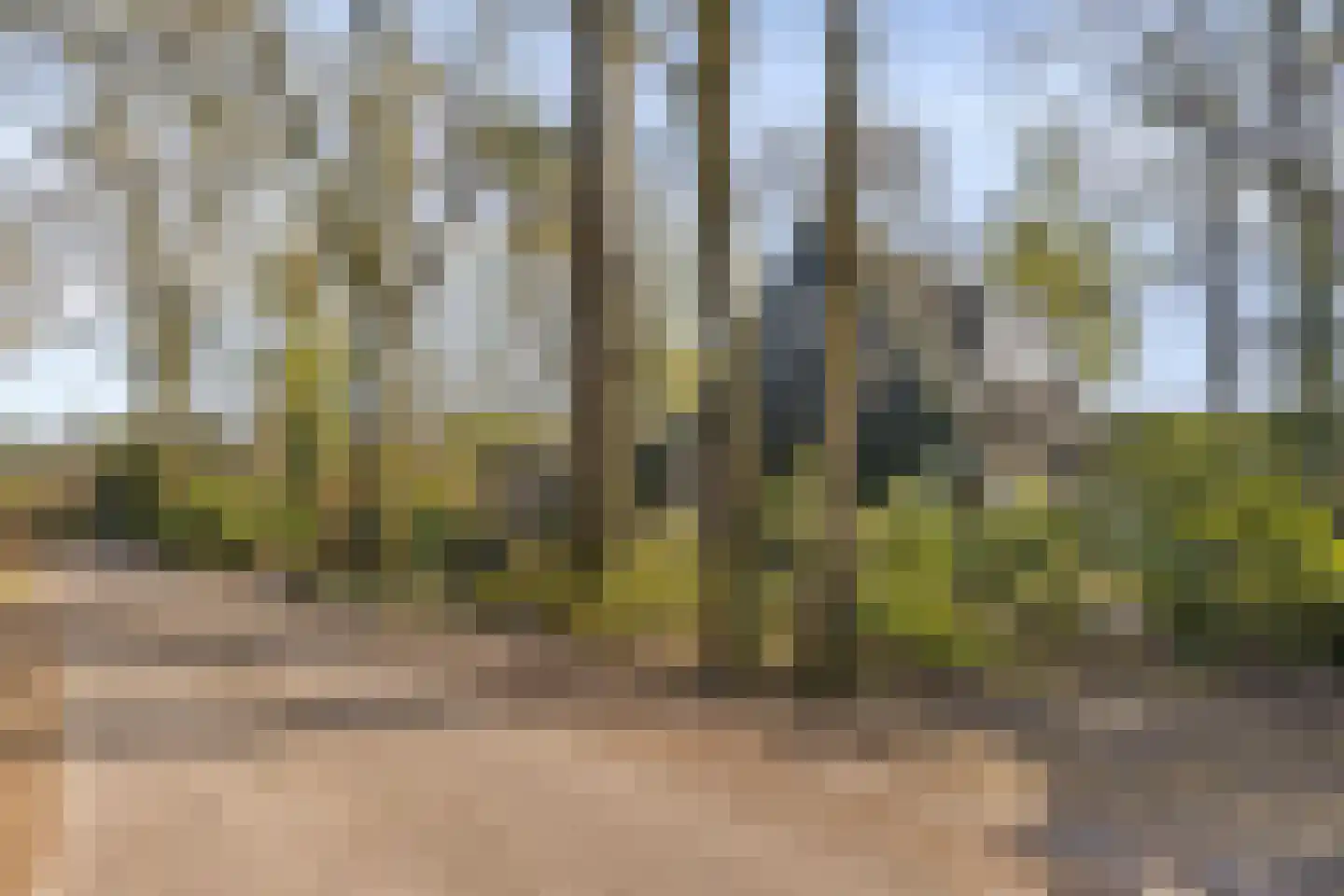 Kievit 12 b 273 Baarle-Nassau thumbnail 35