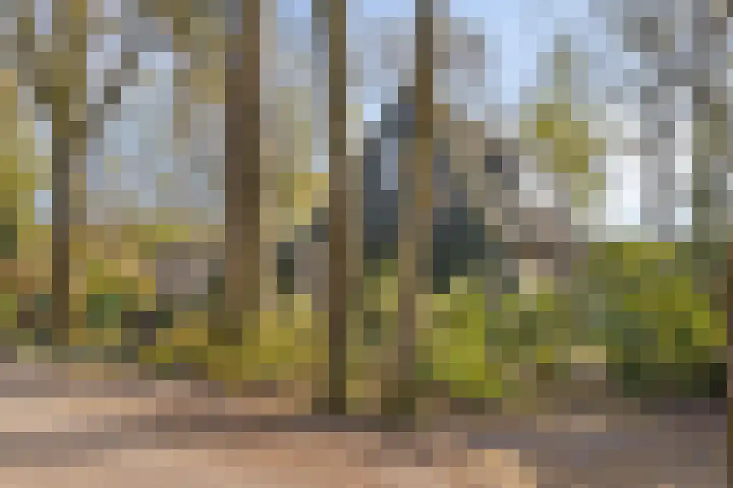 Kievit 12 b 273 Baarle-Nassau thumbnail 36