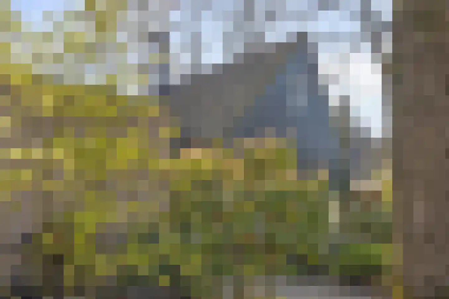 Kievit 12 b 273 Baarle-Nassau thumbnail 37